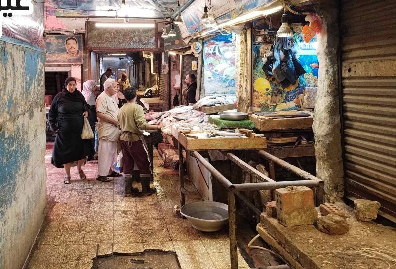 يحدث في سوق السمك بإمبابة.. الإهمال وإنتشار الأوبئة وإنعدام الخدمات مشاكل مزمنة بالسوق
