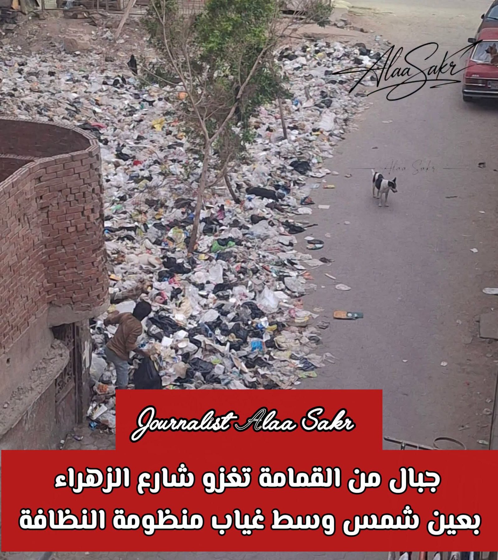 جبال من القمامة تغزو شارع الزهراء بعين شمس وسط غياب منظومة النظافة