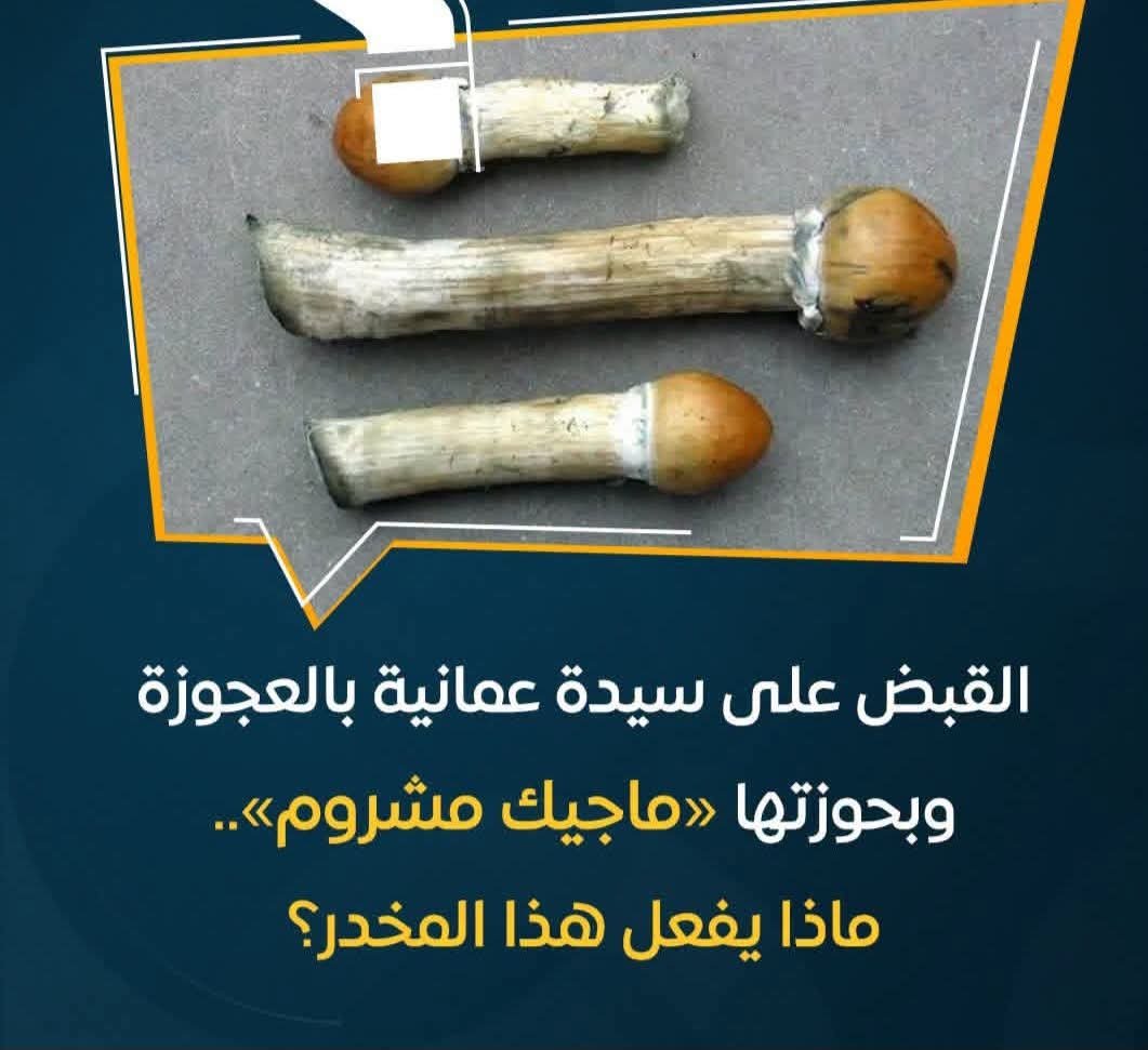 القبض على سيدة عمانيةبالعجوزة لإتهامها بحيازة مواد مخدرة